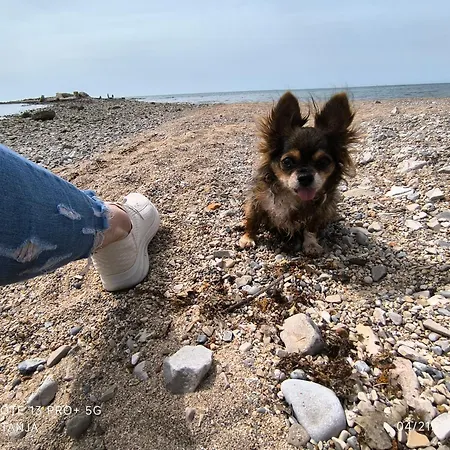 Apartma Rea Izola, Pergola & Terassa, Parking Izola