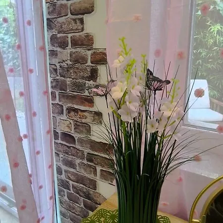 Apartma Rea Izola, Pergola&terassa, Parking Appartamento *