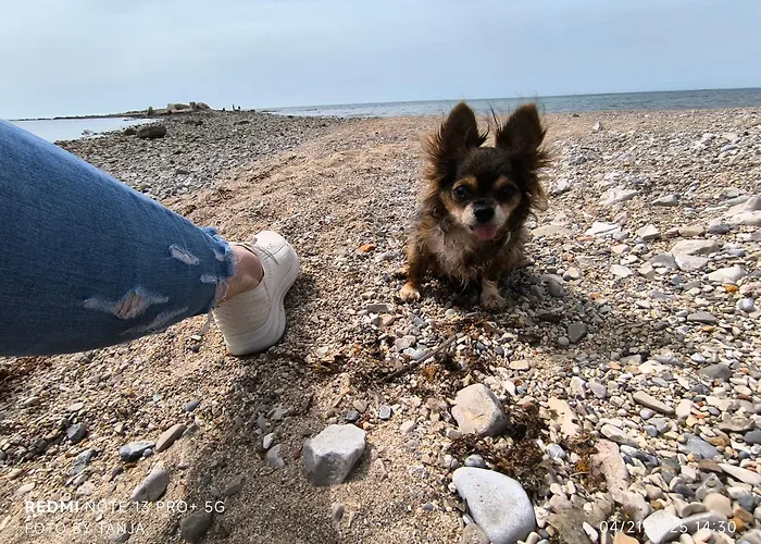 Apartma Rea Izola, Pergola & Terassa, Parking 이졸라